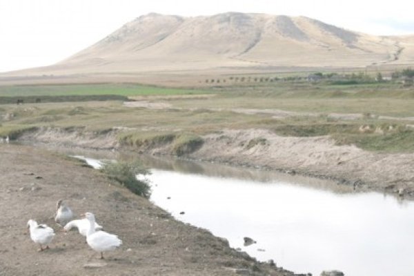 Suntem sub cod galben de ploi şi vijelii, până la ora 18.00